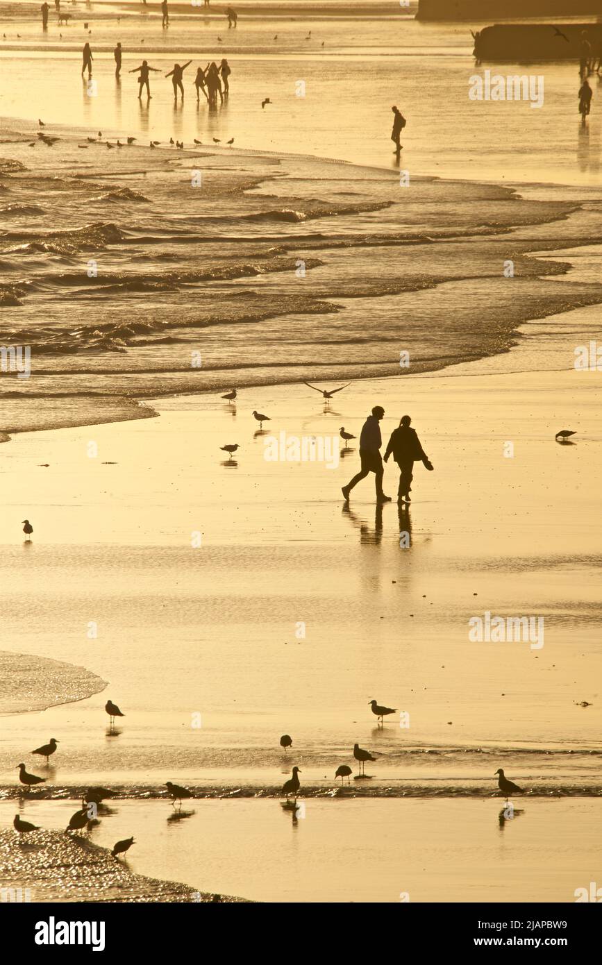Silhoueted formes d'amis ensemble et d'autres personnes sur la plage à marée basse, Brighton & Hove, East Sussex, Angleterre, Royaume-Uni. {Hotgraphiée de la jetée du Palais au coucher du soleil Banque D'Images