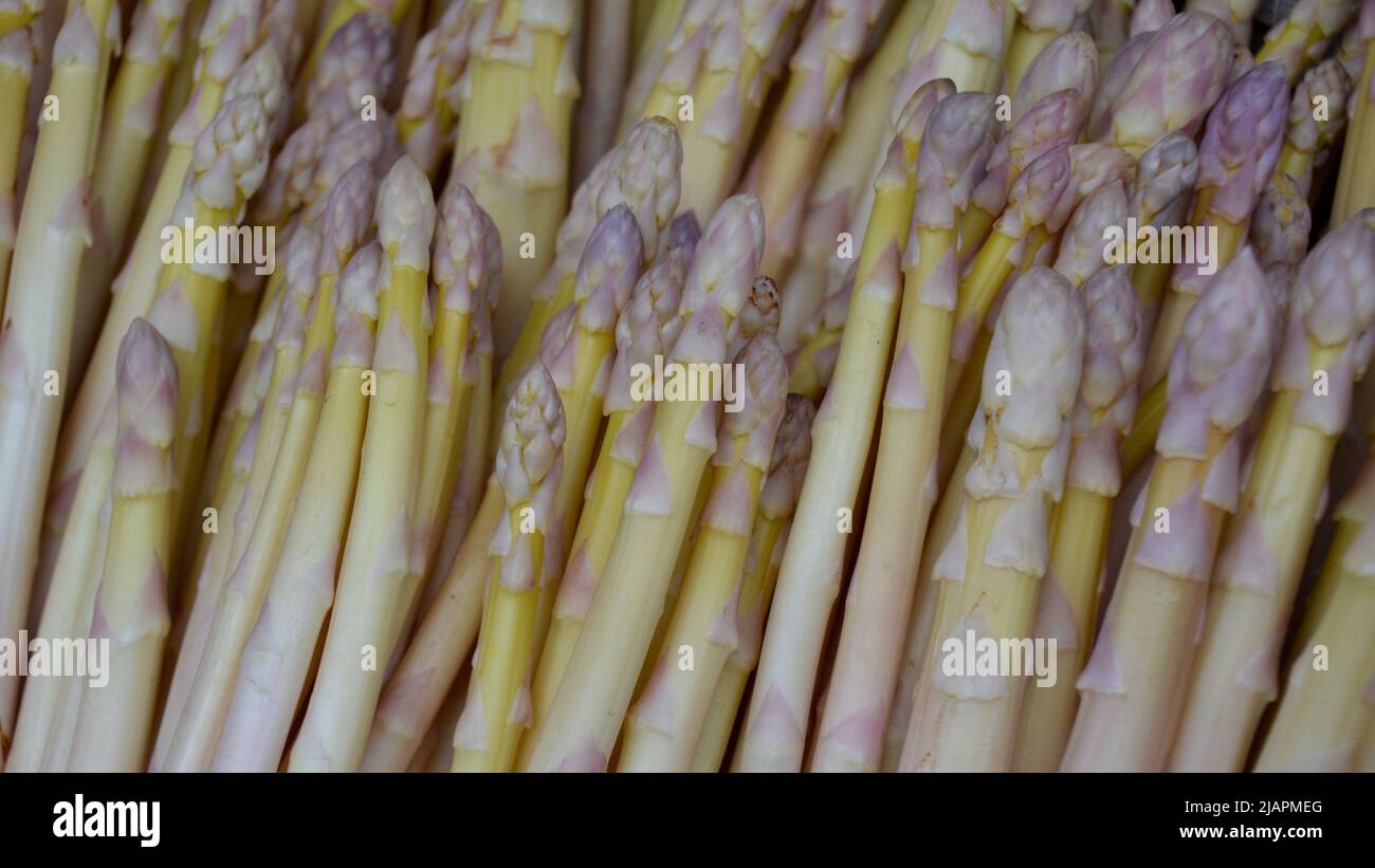 Asperge blanche droite avec de belles pointes violettes en plein cadre sur un marché agricole à Hobart, Tasmanie, Australie Banque D'Images