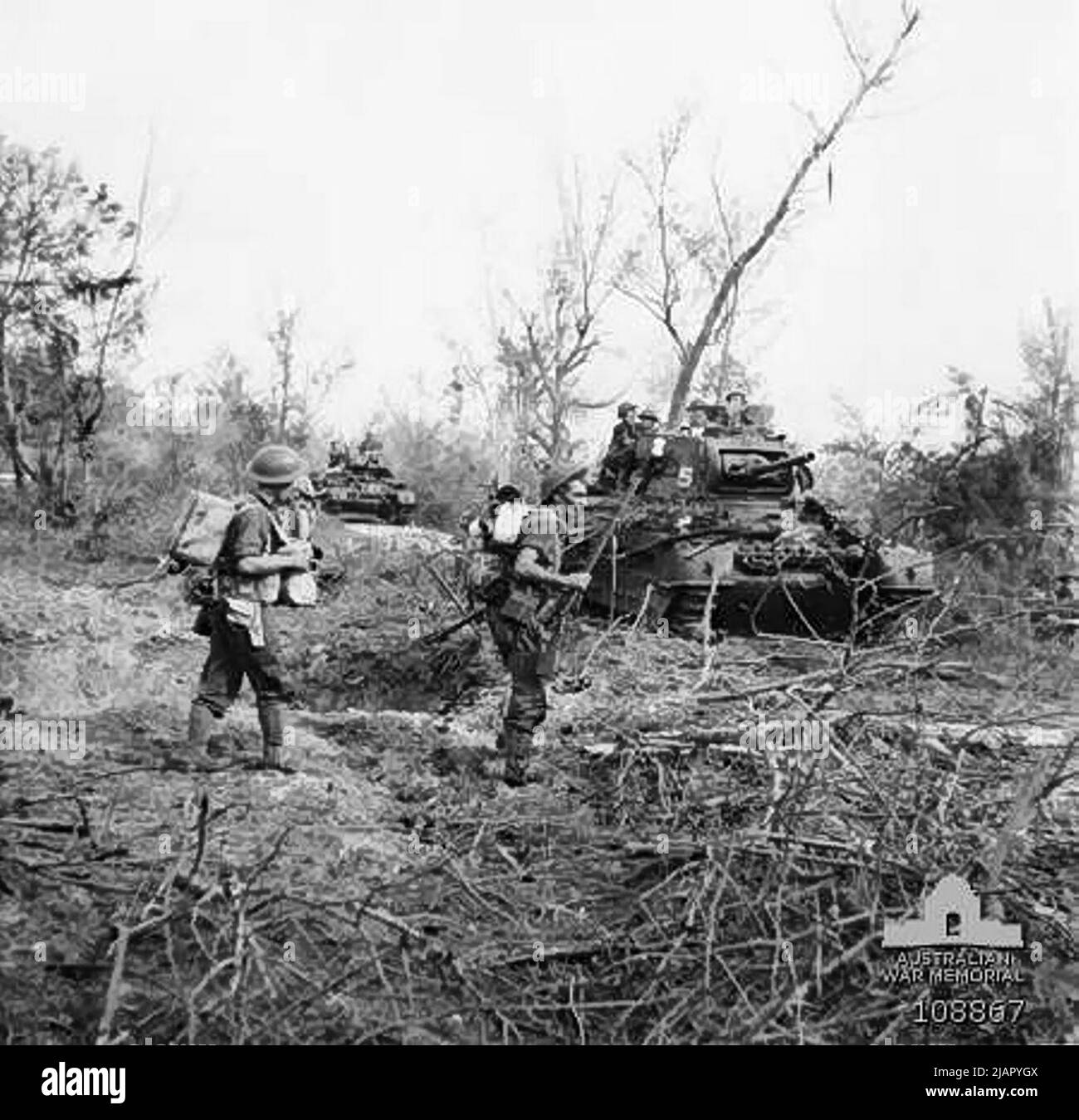 Labuan, Bornéo du Nord, 1945-06-10. Chars Matilda de l'escadron B, 9 troupes, 2/9th Régiment blindé, se déplaçant vers l'est peu après l'opération Oboe 6 atterrissage vers. 10 juin 1945 Banque D'Images