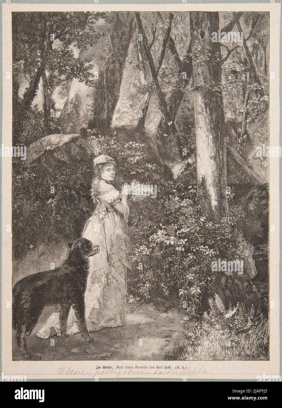 Dans la forêt selon l'image de Carl Hoff. Un clip d'un magazine allemand. Brend'amour, Franz Robert Richard (183111 1915), D.N (N.N.), Hope, Carl (1838 1890) Banque D'Images