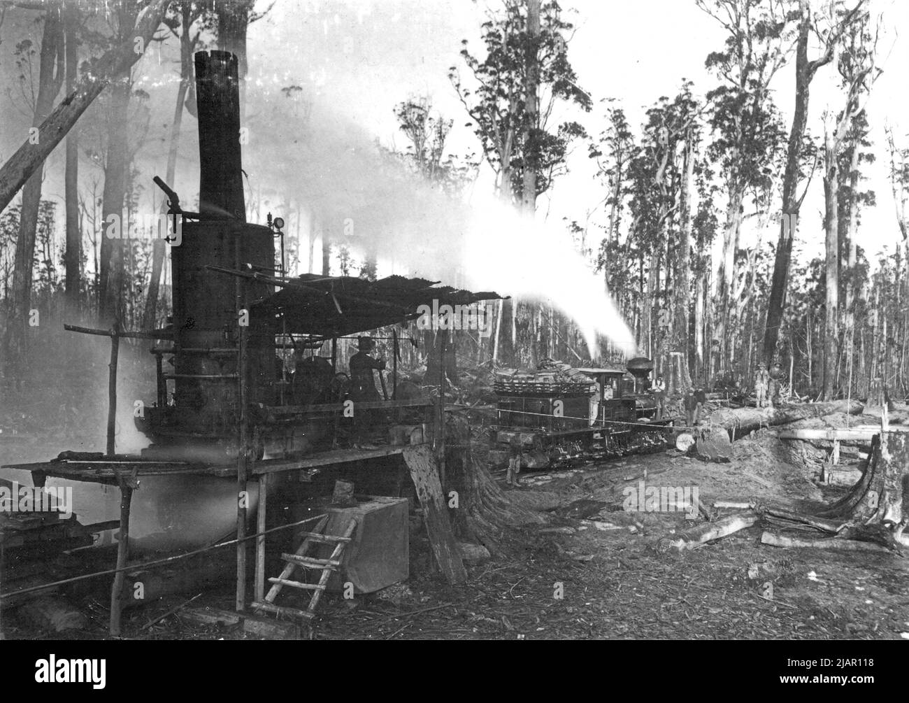 Shay No. 4 attend pendant que des bûches sont chargées pour l'usine sur le tramway Geeveston de la compagnie Huon Timber. Peut-être au début de 1900s Banque D'Images