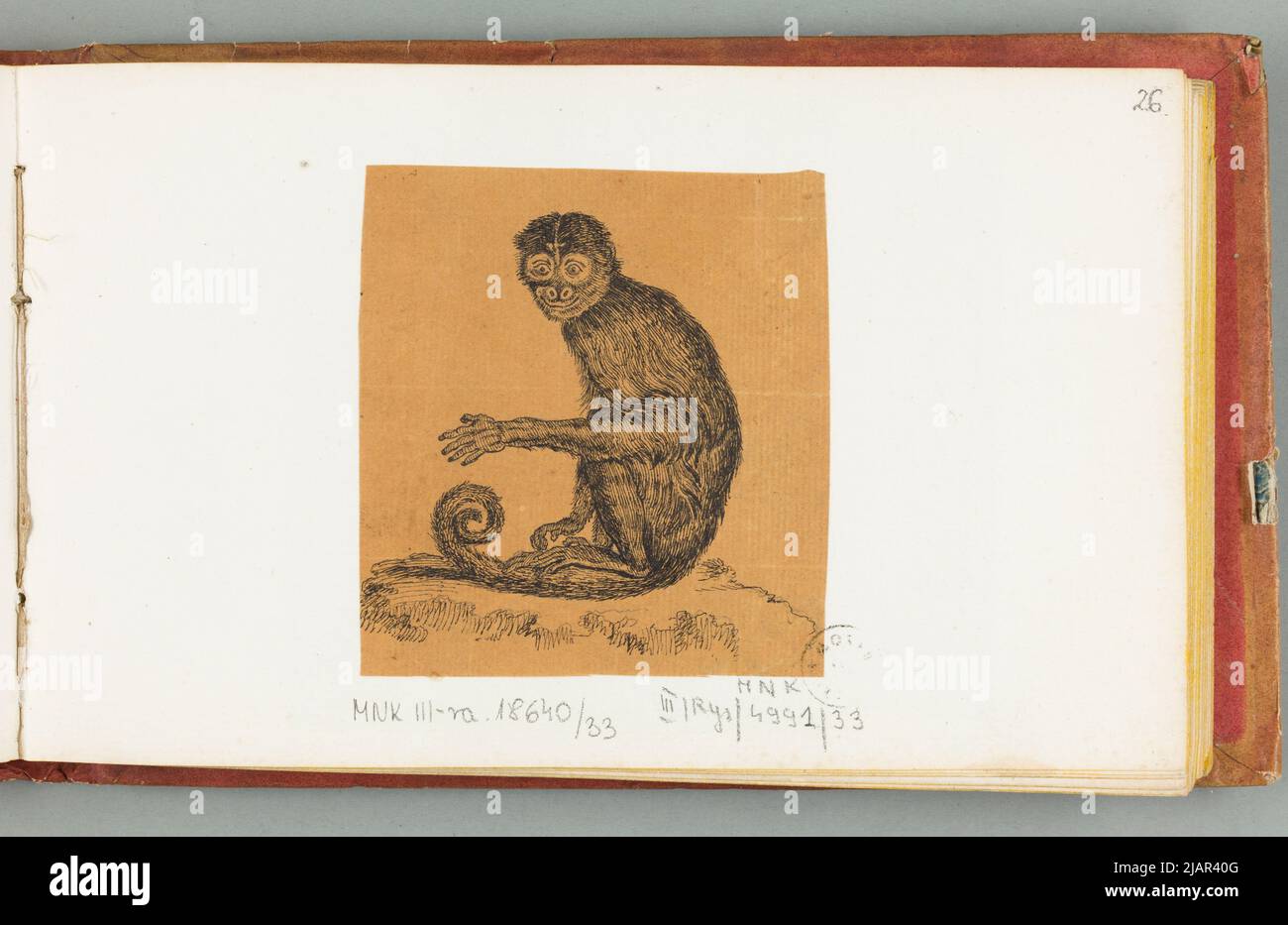 Sans titre (singe), dans : dessiner au stylo par huet Ficas. Concepteur du cabinet d'histoire naturelle 1810 Ha, nicolas (ca 1770 1830) Banque D'Images