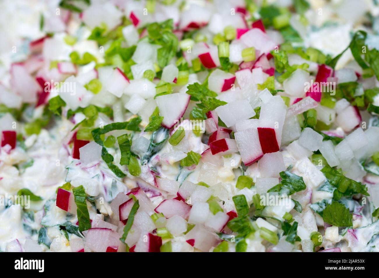 salade de printemps avec racine de radis et feuilles de gros plan sélectif Banque D'Images