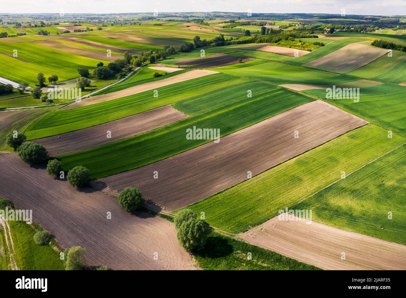 Agriculture champs Paterns dans la campagne rurale. Vue aérienne du Drone. Banque D'Images