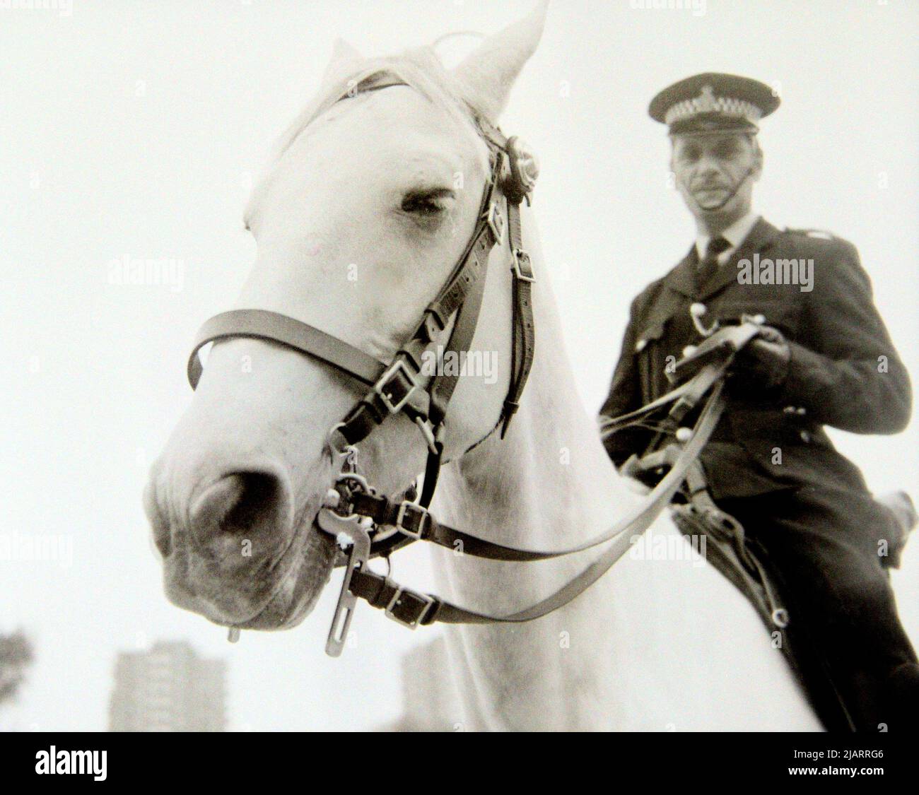 Un policier à cheval, commandant une manifestation contre le racisme à Leicester, Angleterre, Royaume-Uni, Îles britanniques, en 1972. Banque D'Images