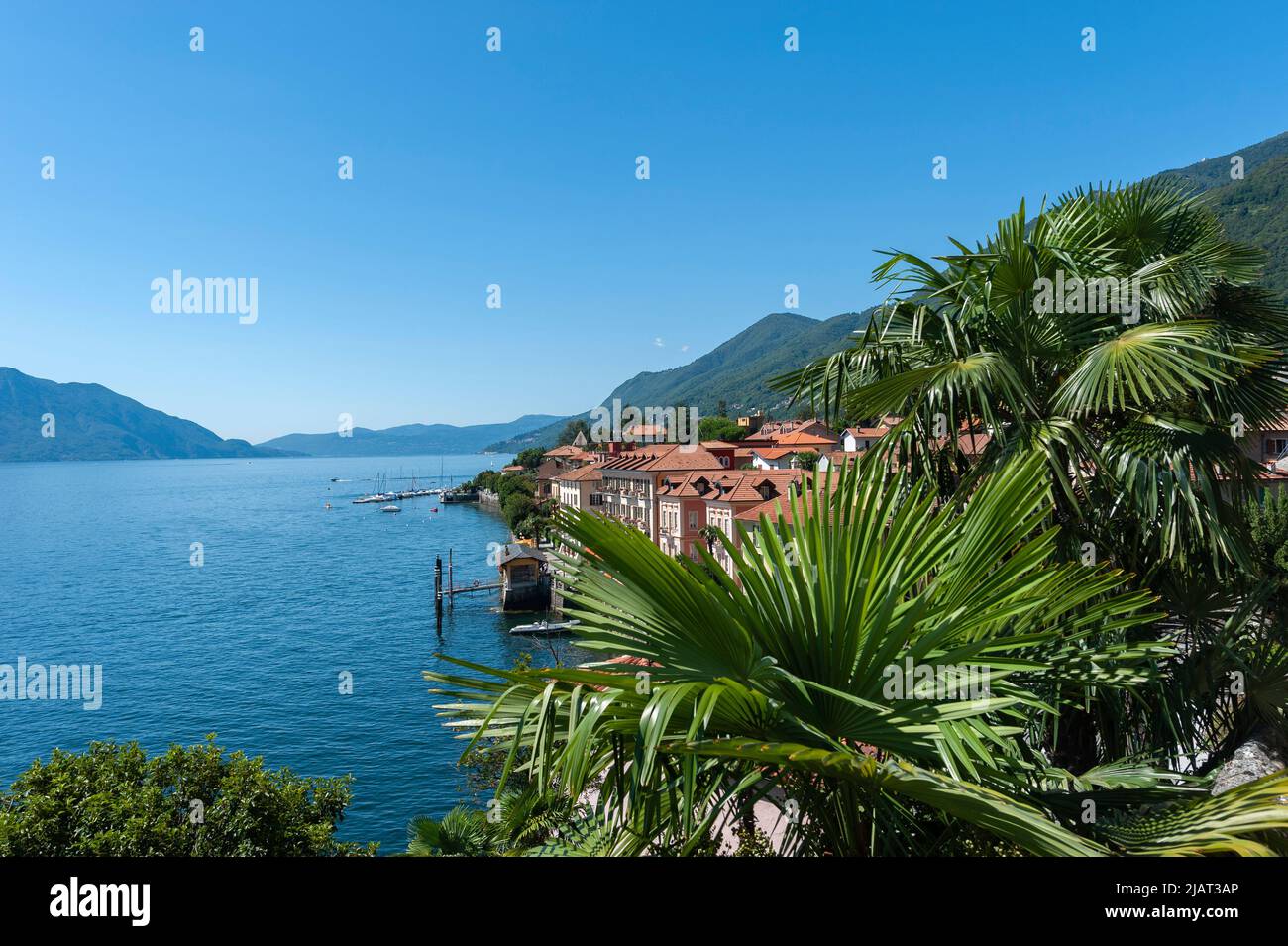 Paysage et paysage urbain de la Riviera de Cannero sur le lac majeur, Piémont, Italie, Europe Banque D'Images