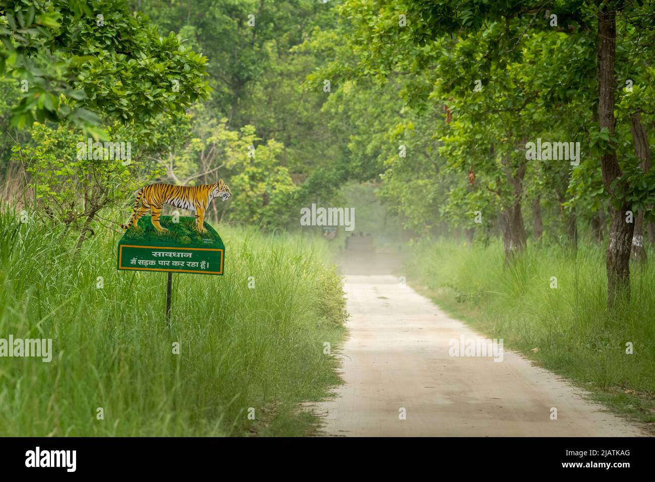 tigre du bengale sauvage peint sur panneau près de la voie ou de la route dans la forêt pour exposer ou montrer aux personnes conscientes et aux touristes de conduire lent leurs véhicules Banque D'Images