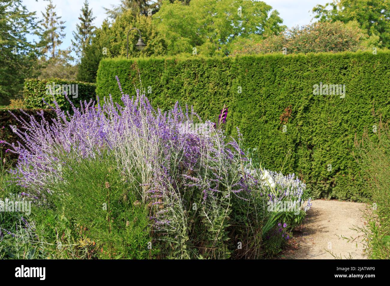 GIVERNY, FRANCE - 31 AOÛT 2019 : c'est un coin confortable du jardin coloré et animé du musée impressionniste. Banque D'Images