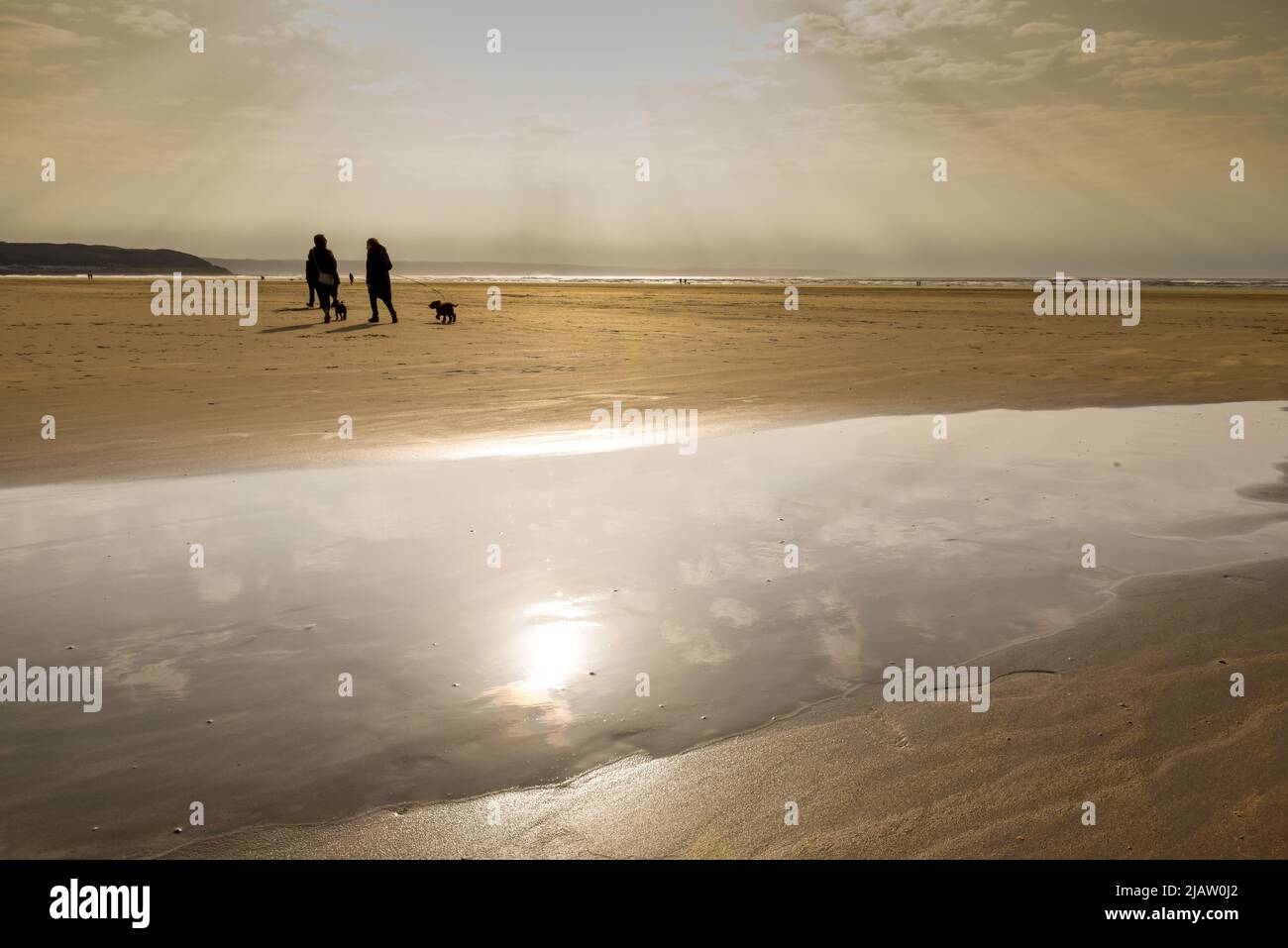 Les gens marchent leurs chiens sur la plage au bord de la mer Banque D'Images