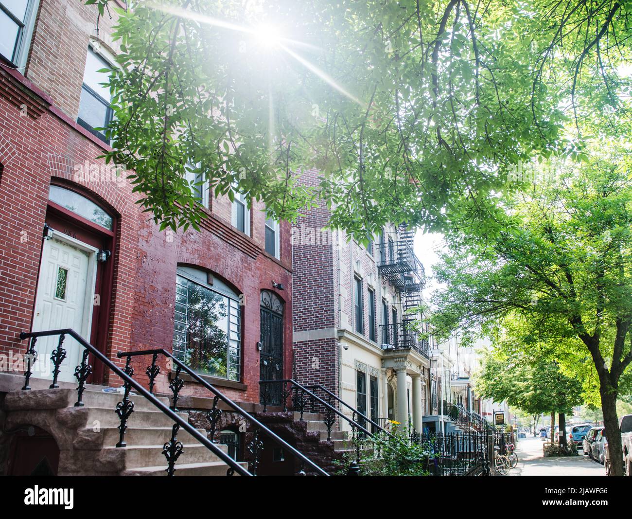 Rue bordée d'arbres avec maisons en grès brun à Crown Heights, Brooklyn, New York City, New York Banque D'Images