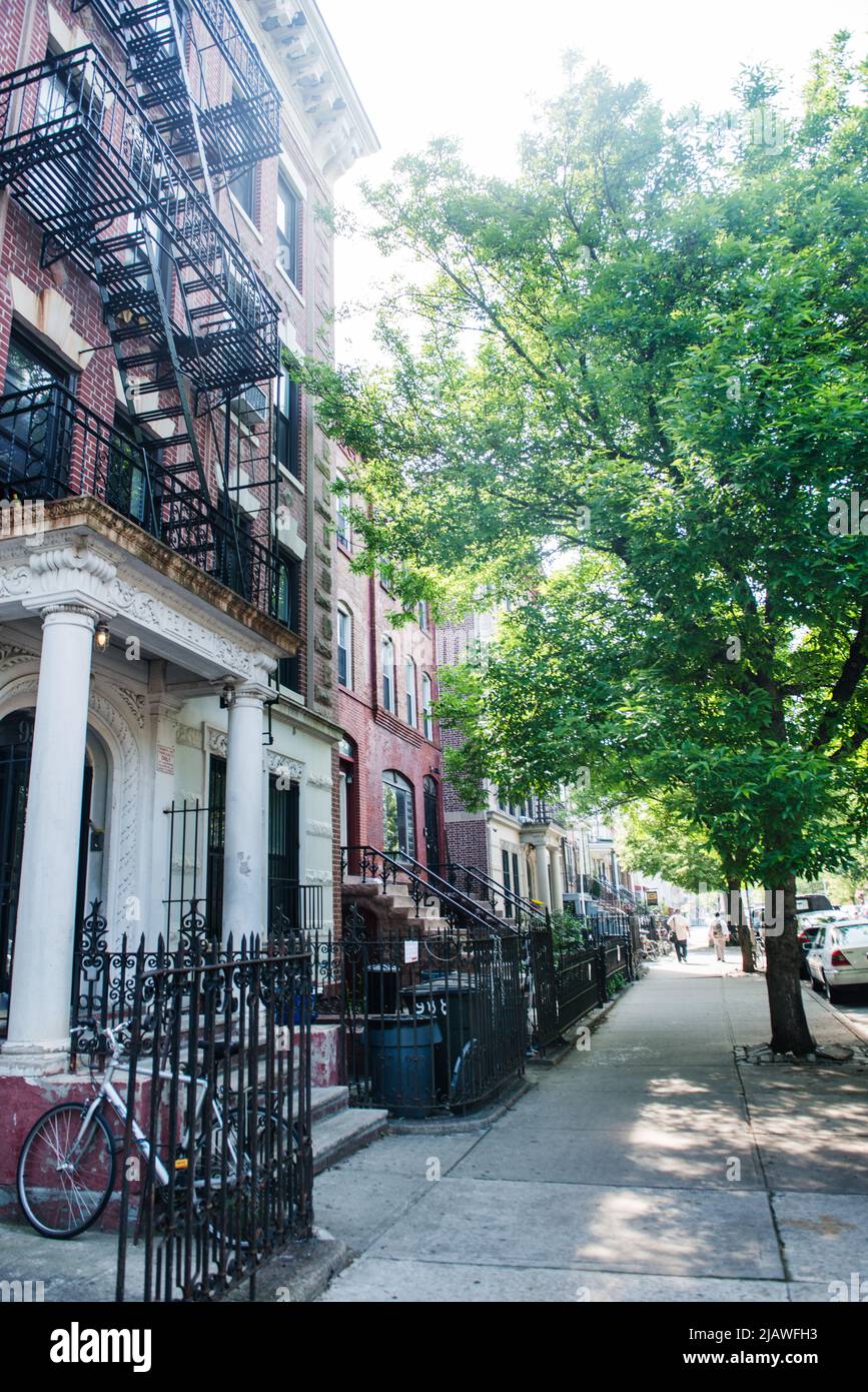 Rue bordée d'arbres avec maisons en grès brun à Crown Heights, Brooklyn, New York City, New York Banque D'Images