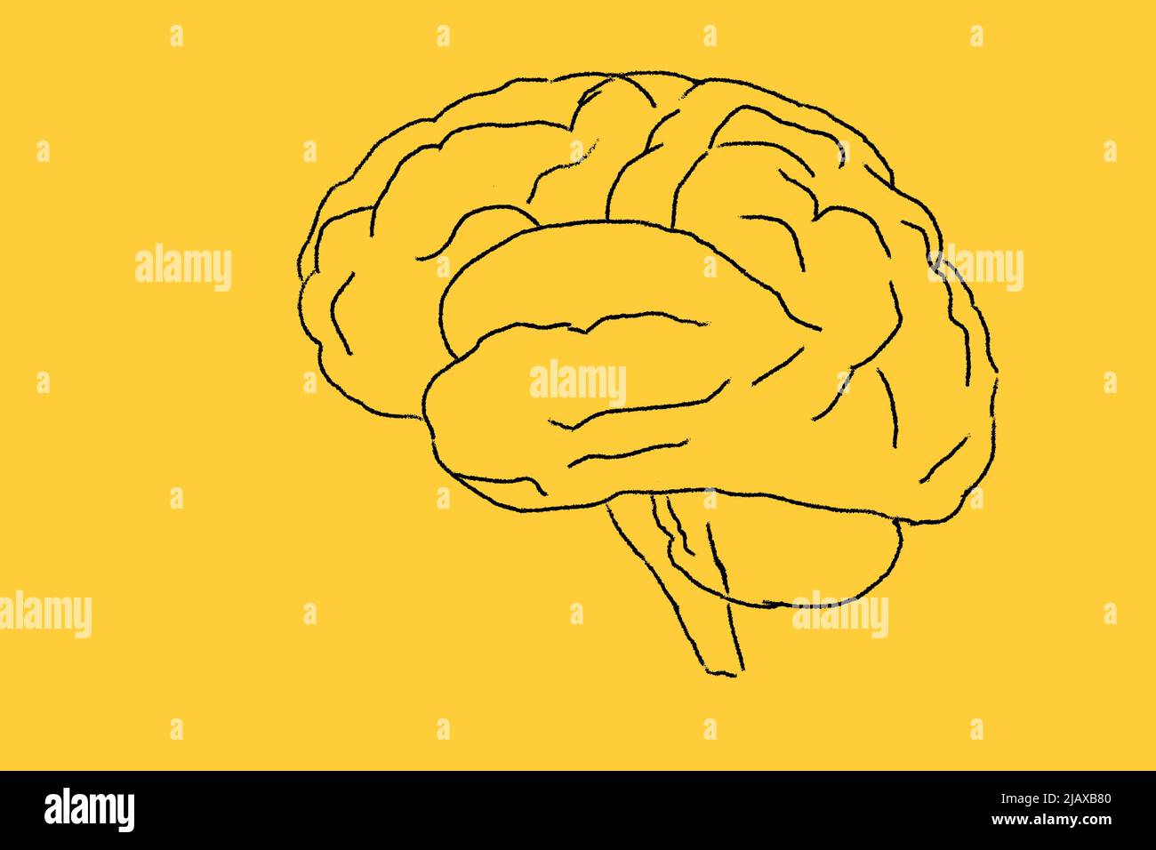 Human Brain dessin sur fond jaune Banque D'Images