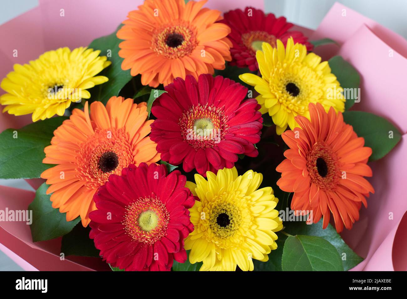 Bouquet de gerberas rouge, jaune et orange Banque D'Images