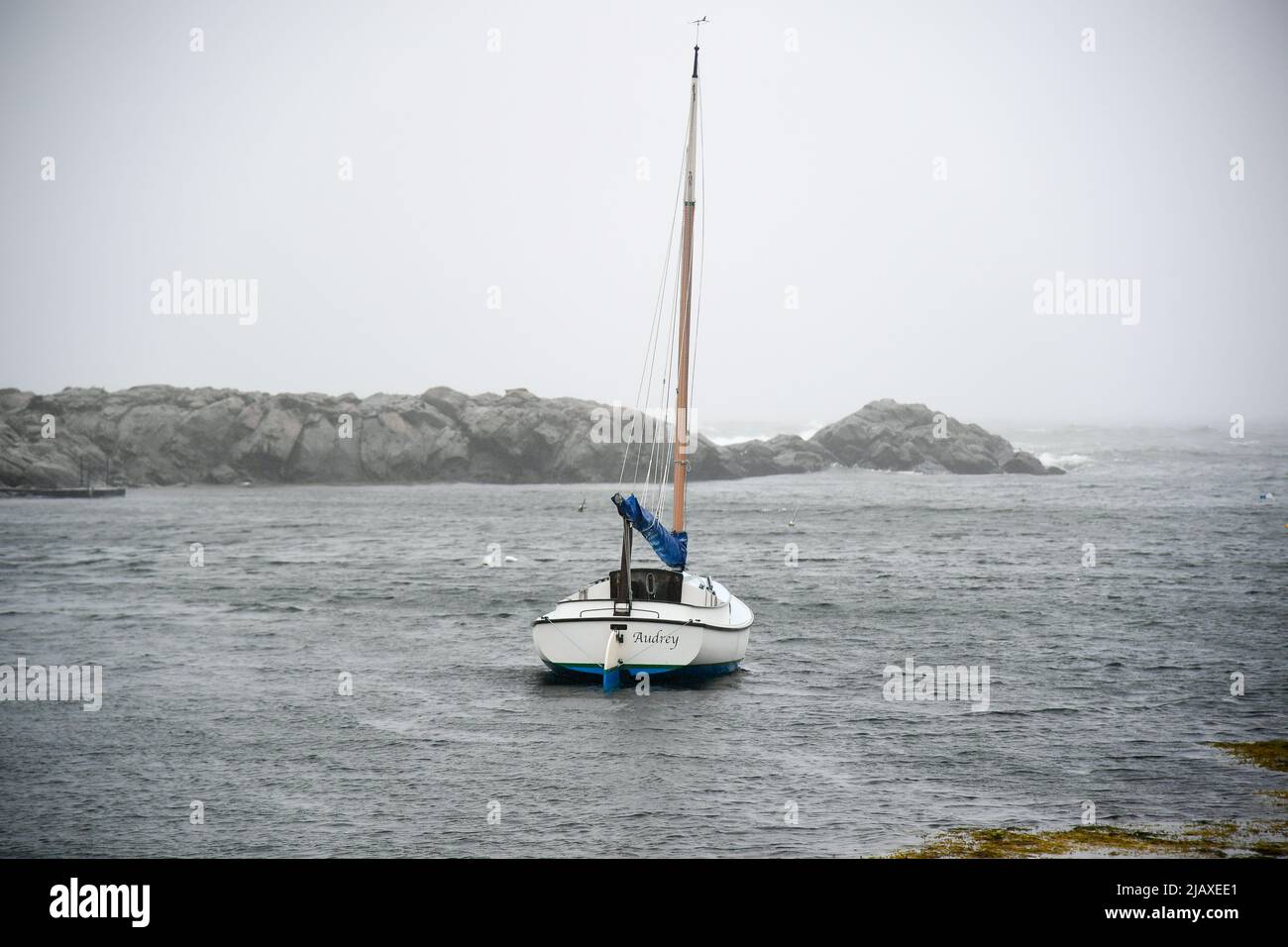 Stock de photos de la tempête tropicale Elsa de 2021 draching Newport, Rhode Island. Bateaux amarrés dans une tempête de l'île Aquidneck. Banque D'Images