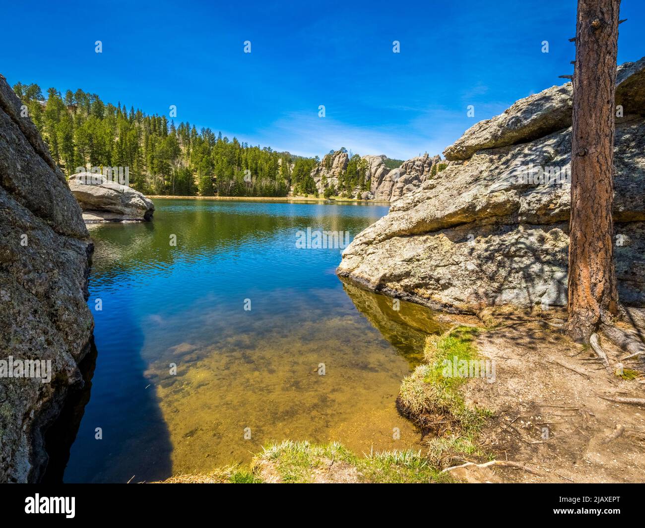 Sylvan Lake, dans le parc national Custer, dans les Black Hills du Dakota du Sud, États-Unis Banque D'Images