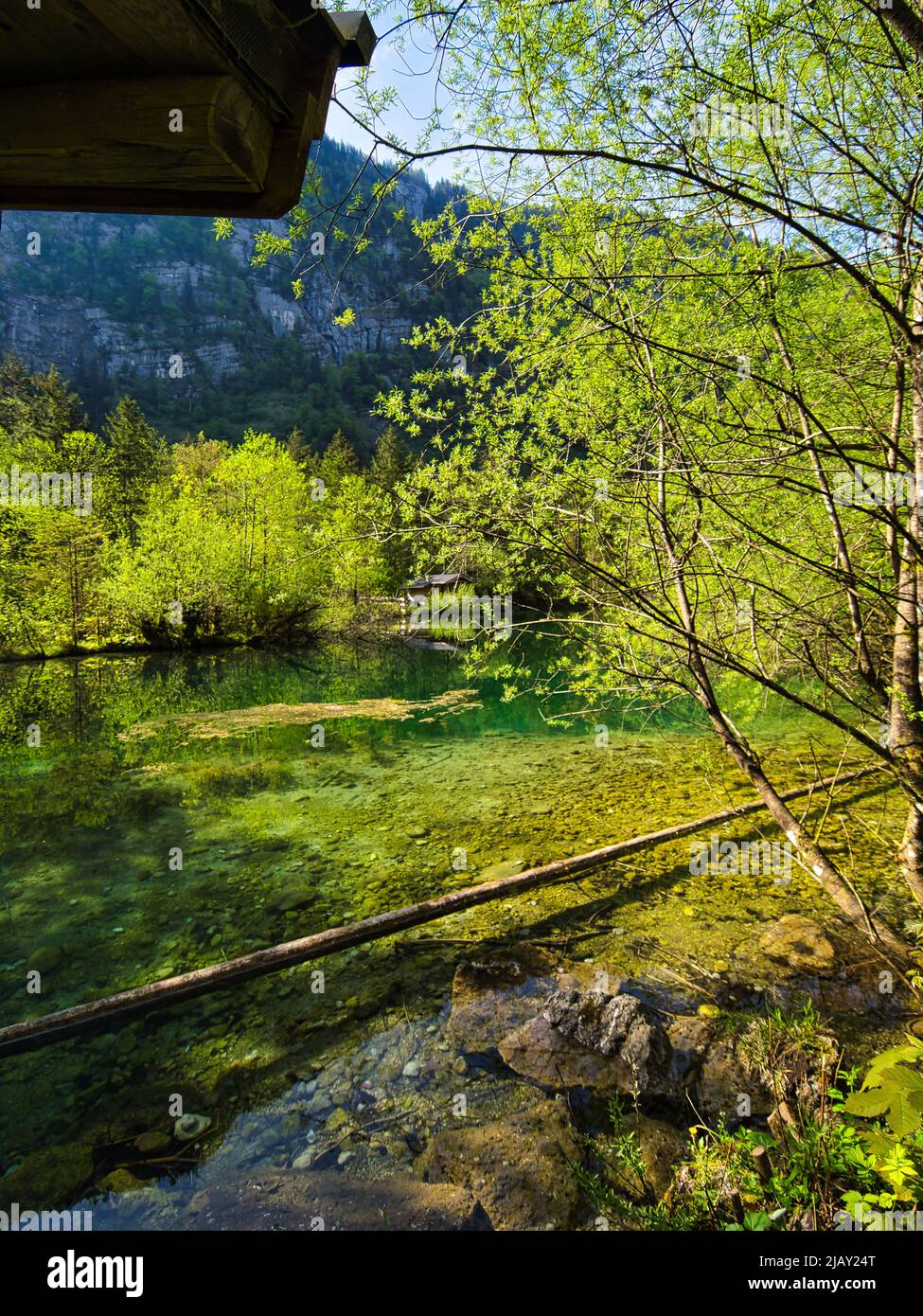 Jour de printemps dans la vallée de Bluntau dans le Tennenggebirge Banque D'Images