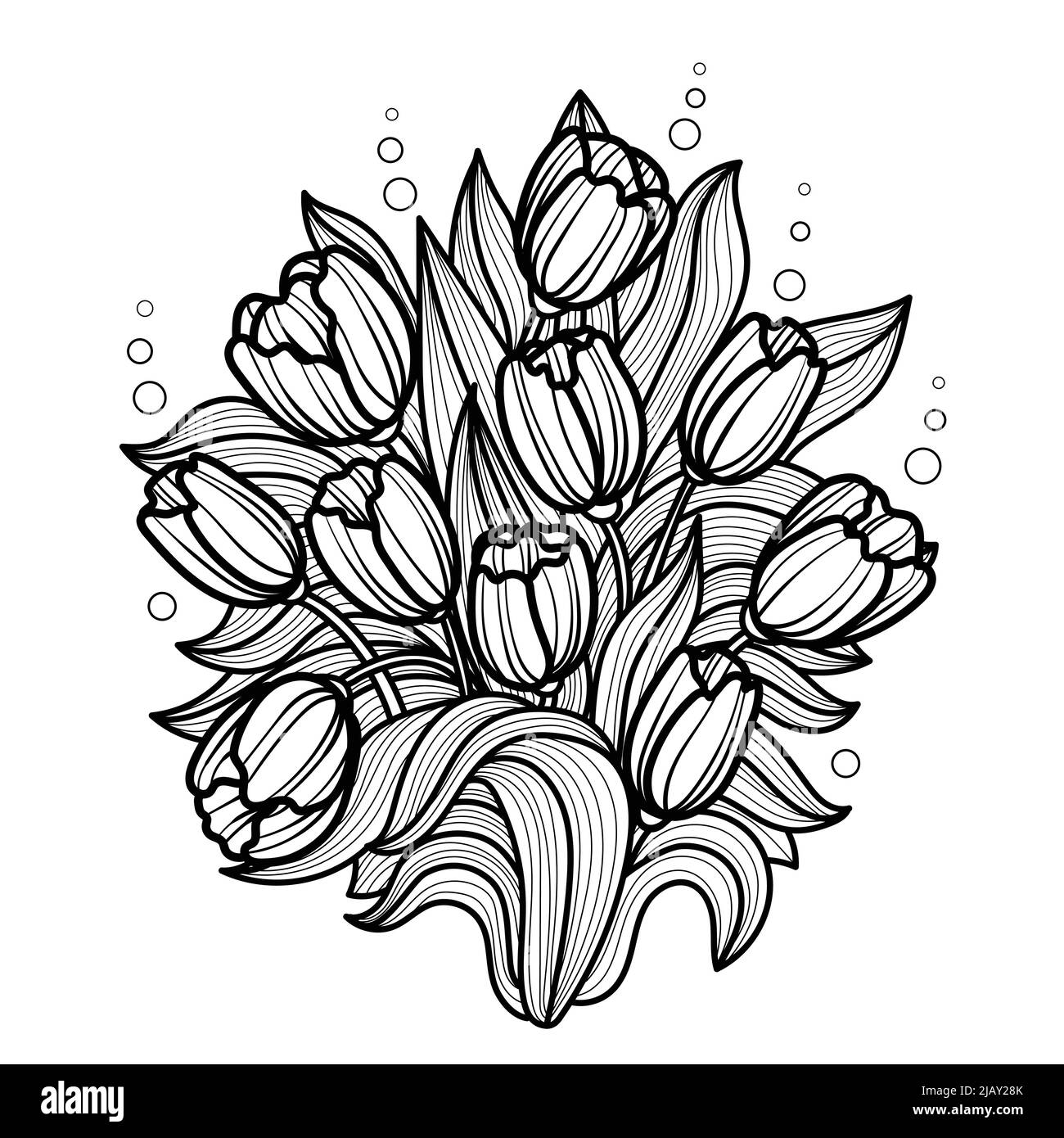 Bouquet de tulipes. Dessin linéaire noir et blanc. Vecteur Illustration de Vecteur