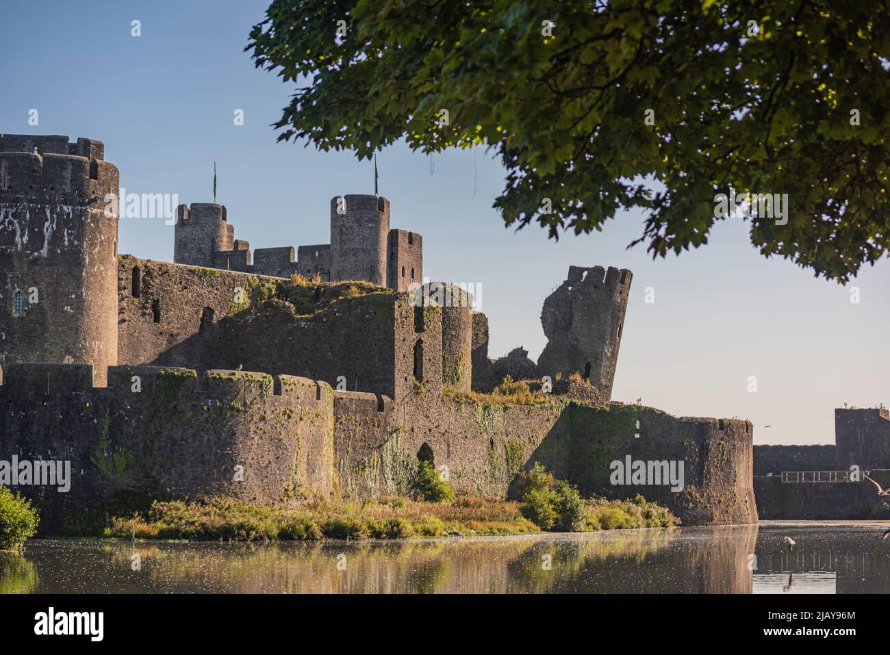 Le château médiéval de Caerphilly, au sud du pays de Galles, au Royaume-Uni. Merci de bien vouloir nous faire savoir : Phillip Roberts Banque D'Images