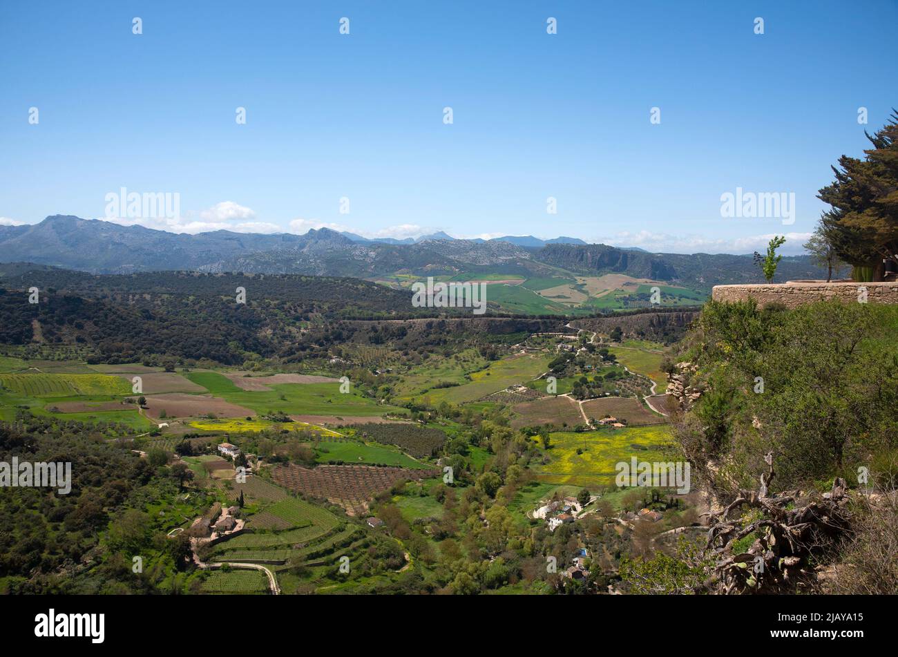 Point de vue à Ronda sur les montagnes de Serrania de Ronda en Andalousie Espagne Banque D'Images