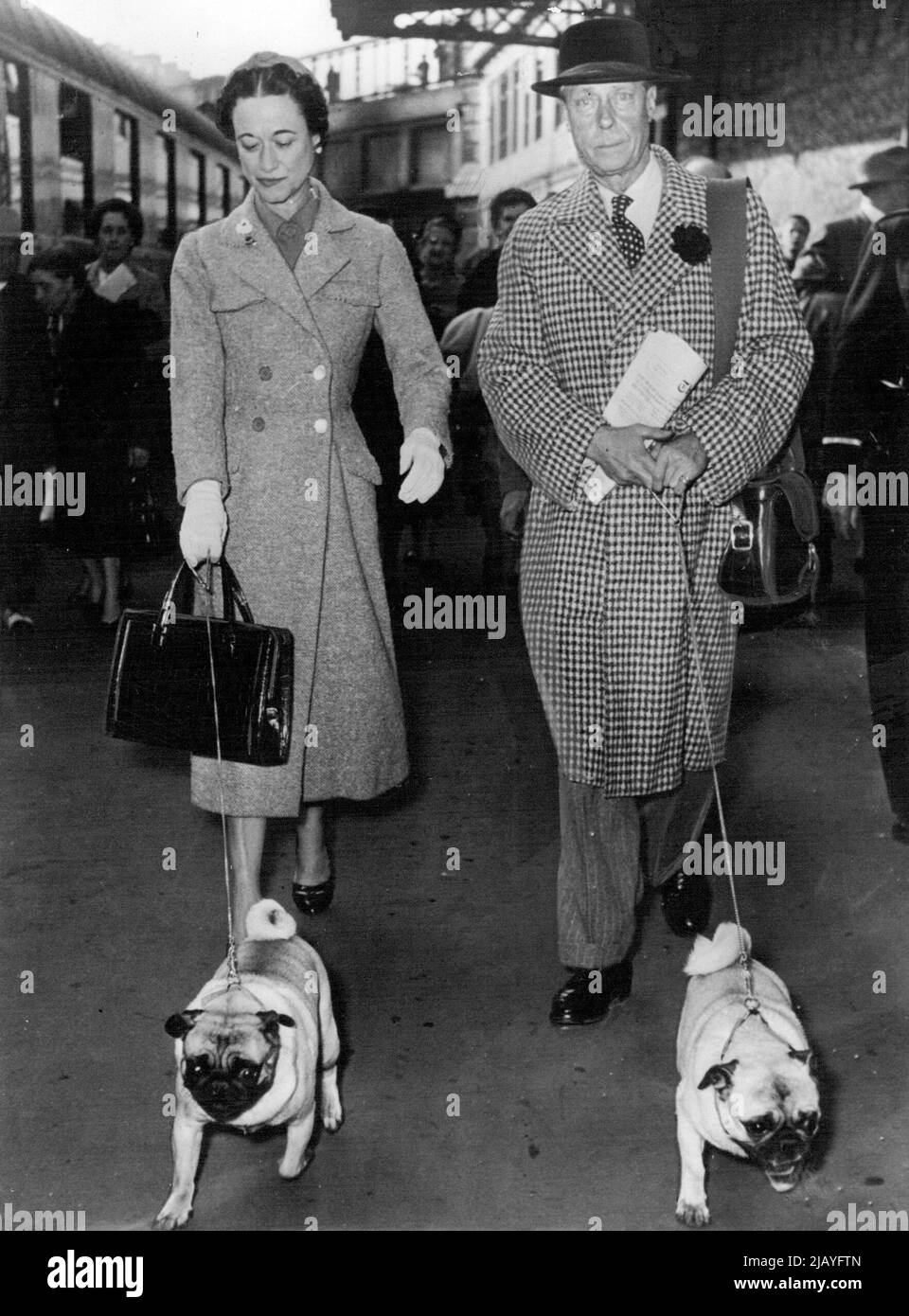 Duc et duchesse de Windsor Retour en France: Le duc et la duchesse de Windsor à la gare hier avec leurs deux chiens d'animaux. Le duc et la duchesse de Windsor sont arrivés hier à Paris d'Amérique. Ils doivent passer le reste de l'année en France. 27 avril 1954. (Photo de Paul Popper, Paul Popper Ltd.). Banque D'Images