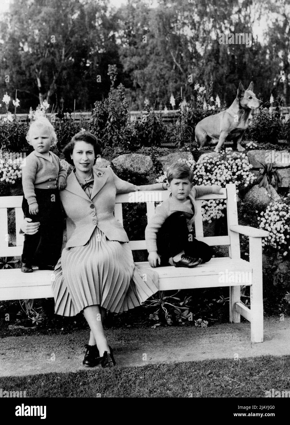 Une nouvelle photographie de sa Majesté la Reine, le Prince Charles et la princesse Anne, a été publiée pour publication générale le 1st mai 1956. Un groupe informel heureux de la Reine, du Prince Charles et de la princesse Anne dans le domaine de Balmoral. La corgi de la Reine, Sue, peut être vue en arrière-plan. 3 mai 1953. (Photo de Camera Press Ltd.) Banque D'Images