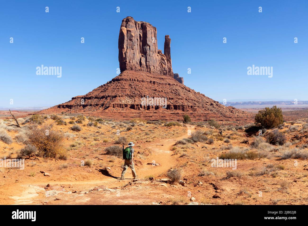 AZ00426-00....ARIZONA - Sandstone butte, West Mitten Butte, le long du sentier Wildcat Trail dans le parc tribal de Monument Valley Navajo. Banque D'Images