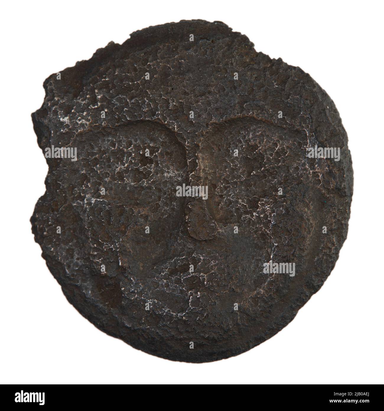 Sarmacja, Glibia, AS, 2nd moitié du 5th siècle environ 400 BCE, bronze (AE) monnaie Banque D'Images