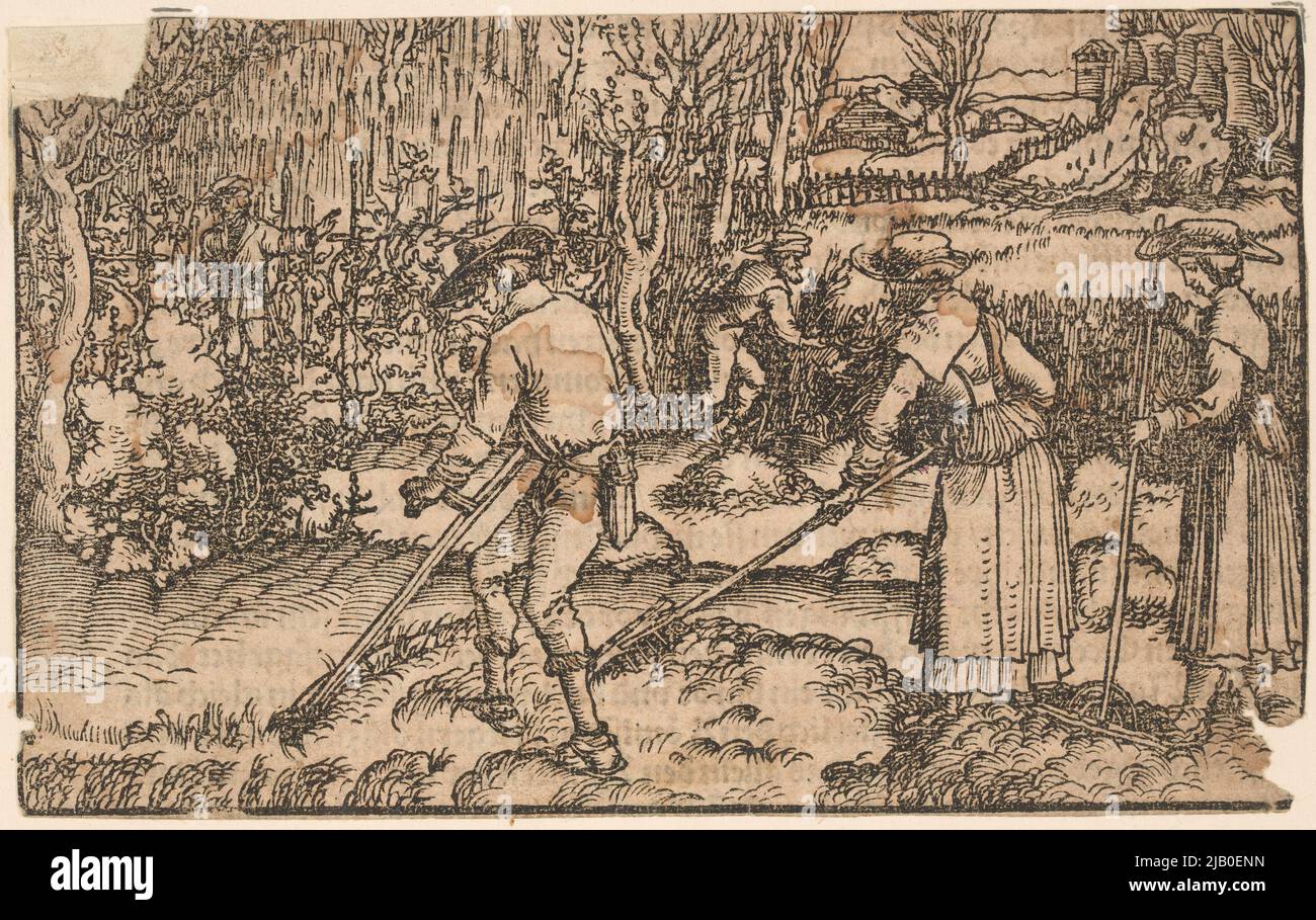 Fauchage de foin inconnu Banque D'Images