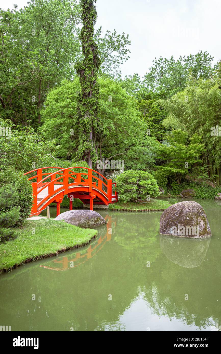 Jardin japonais avec un pont rouge traditionnel au milieu d'une végétation luxuriante Banque D'Images