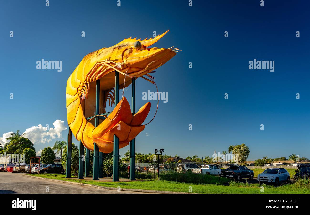 West Ballina, Nouvelle-Galles du Sud, Australie - sculpture de crevettes géantes Banque D'Images