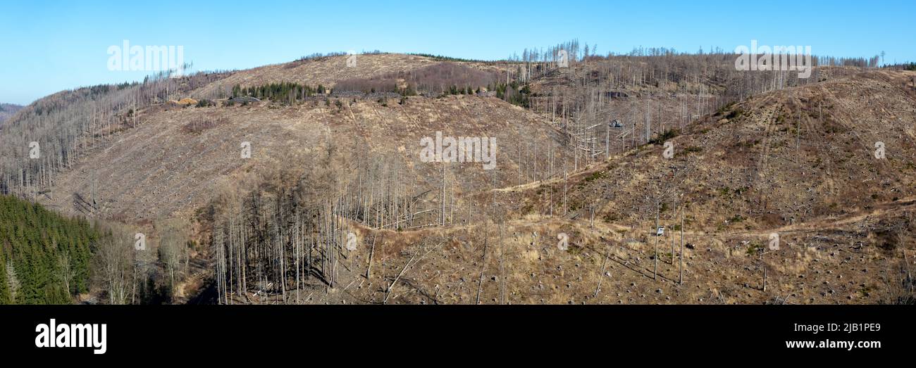 Destruction de l'environnement changement climatique crise environnement paysage panorama nature bois forêt dépérissement à Brocken montagne à Harz, Allemagne Banque D'Images