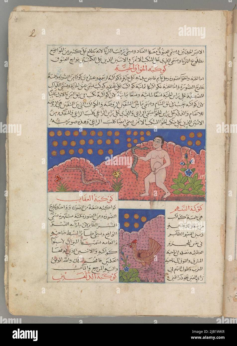 Manuscrit arabe, illustré avec des miniatures de divers formats inconnus Banque D'Images
