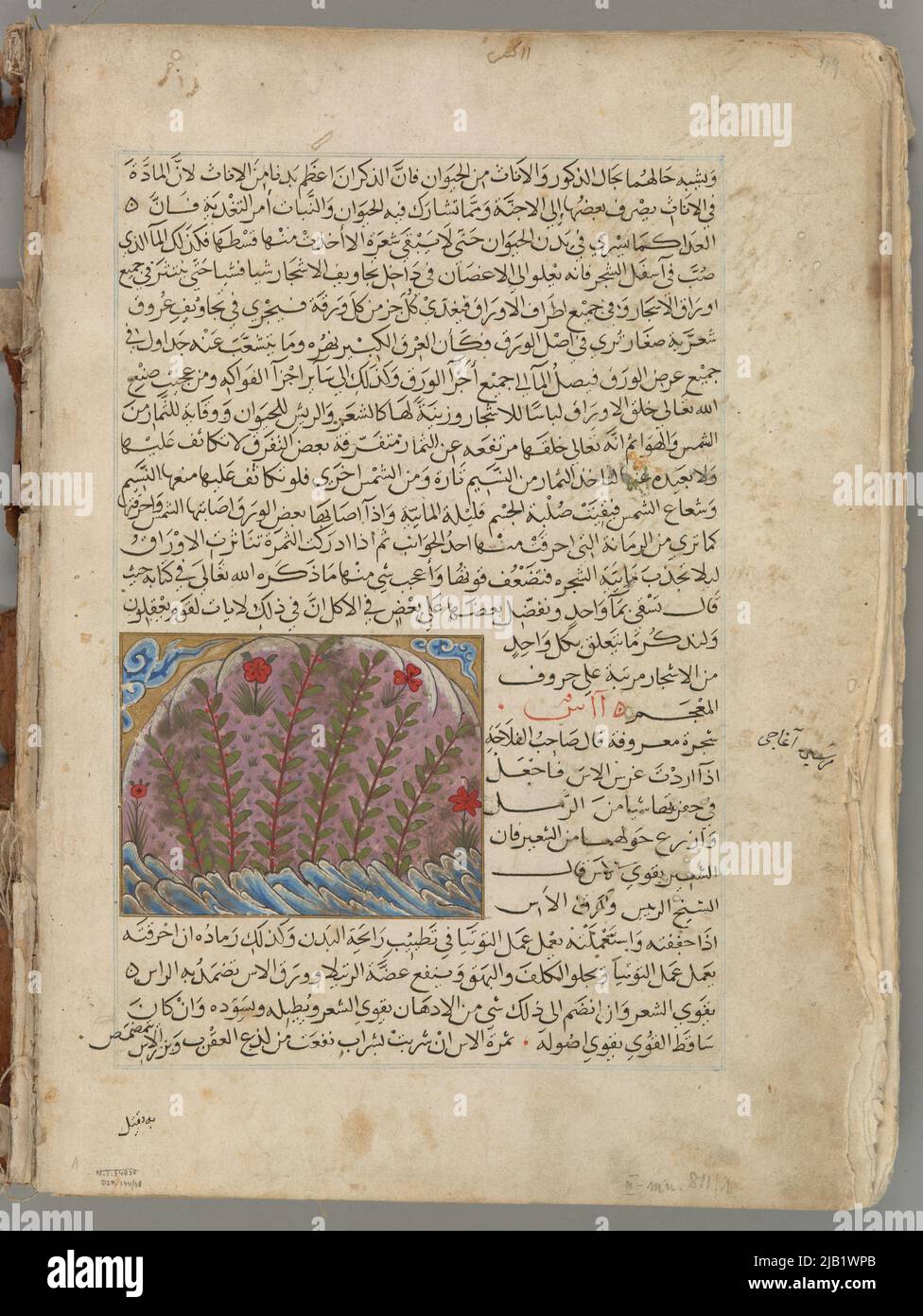 Manuscrit arabe, illustré avec des miniatures de divers formats inconnus Banque D'Images