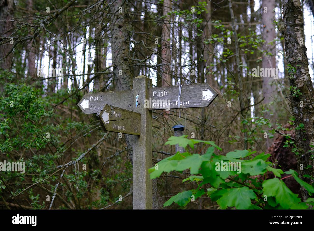 Si vous êtes perdu, il suffit de me chercher Banque D'Images