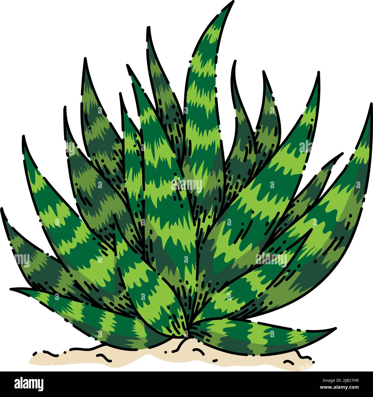 cactus aloe esquisse vecteur dessiné à la main Illustration de Vecteur