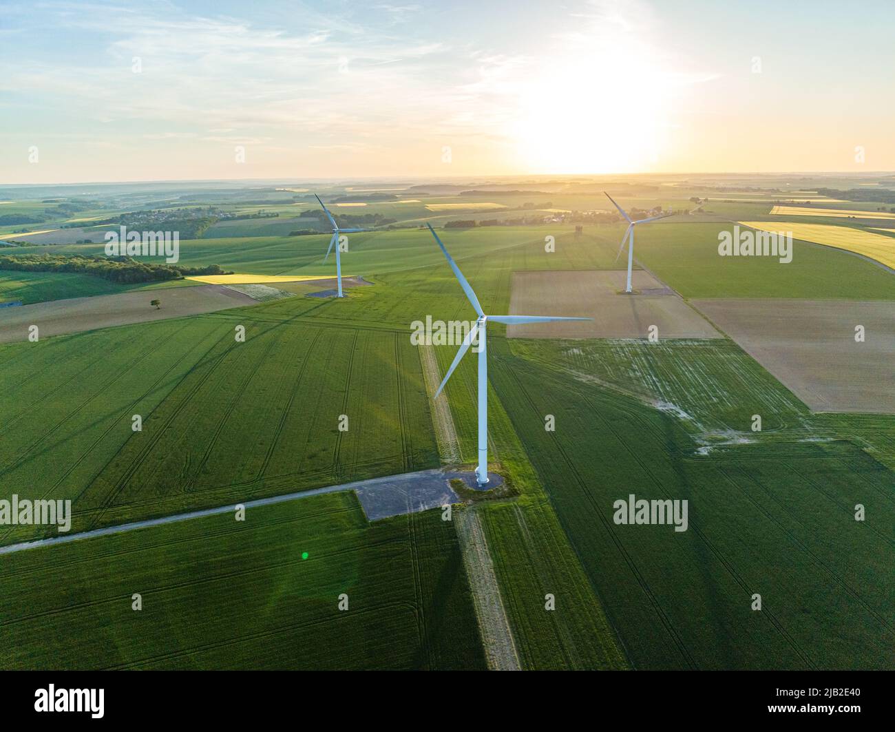 Vue aérienne des champs de blé avec des éoliennes en été. Les générateurs éoliens peuvent être vus dans un beau champ vert. Ferme de turbines éoliennes. Banque D'Images