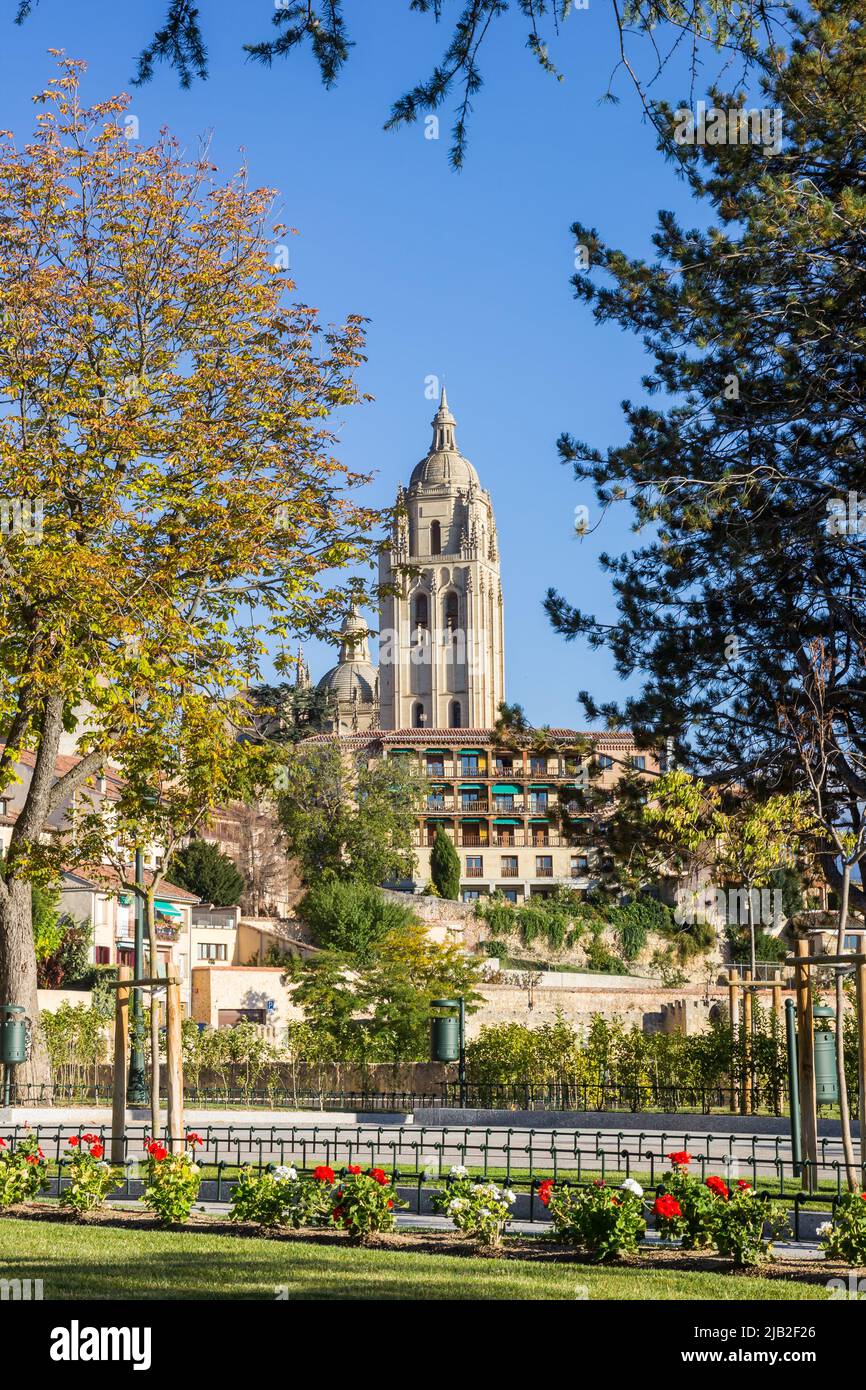 Fleurs sur la place Reina en face de la cathédrale de Ségovie, Espagne Banque D'Images