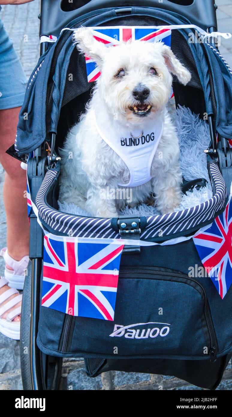 londres 2 juin 2022, le centre de Londres a été rempli de brimes avec des personnes célébrant le Queens Platinum jubilé 2020, tout le monde était dans le bon miid et portant le rouge bleu et blanc crédit: Paul Quezada-Neiman/Alamy Live News Banque D'Images