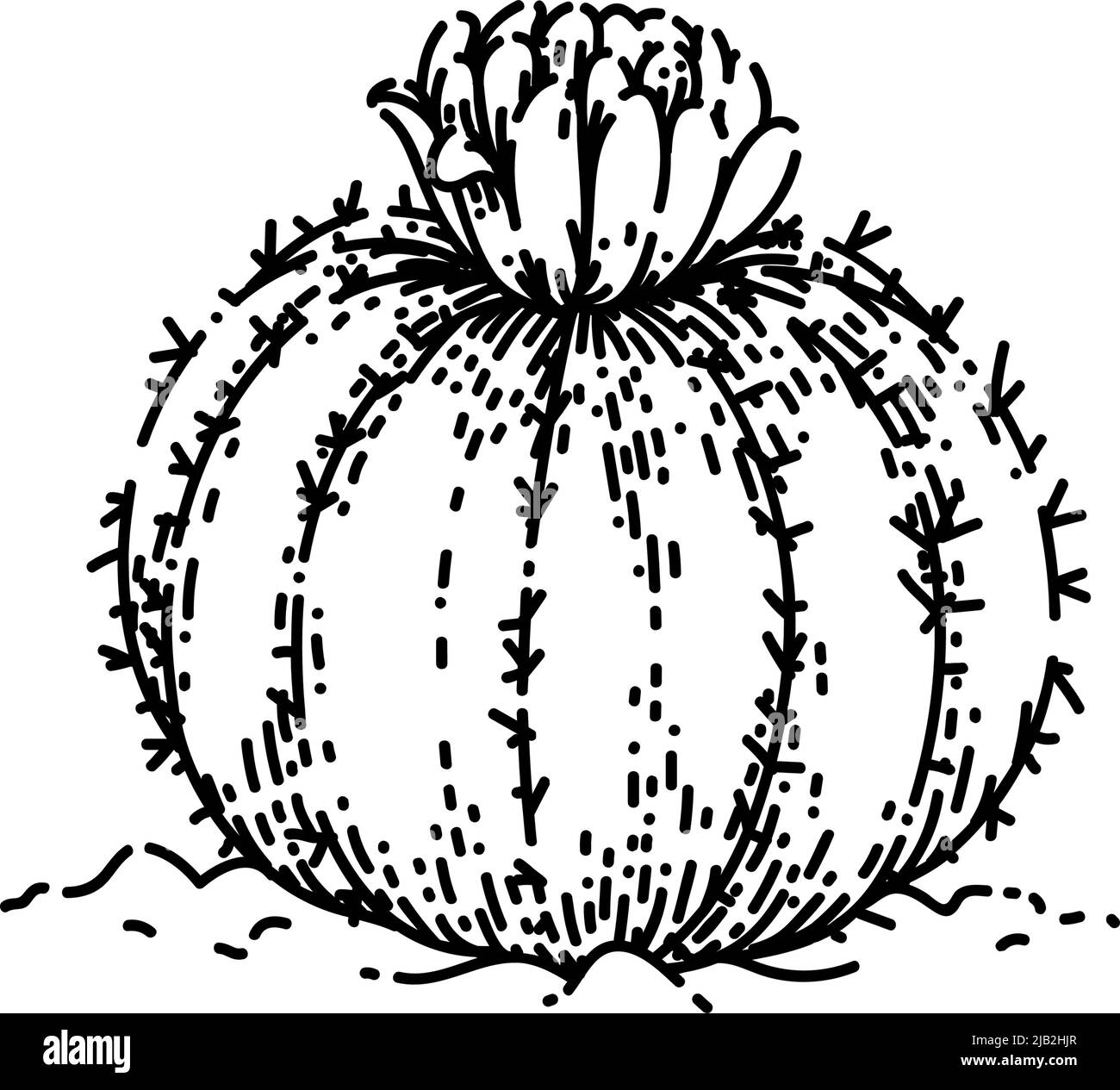 cactus fleur esquisse vecteur dessiné à la main Illustration de Vecteur