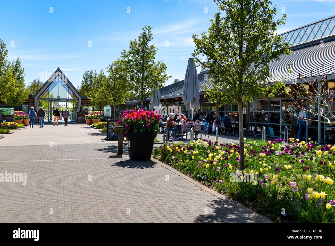 Bienvenue bâtiment et Clover café à RHS Hyde Hall, Essex, un matin ensoleillé de printemps, avec une abondance de tulipes dans les parterres de fleurs. Banque D'Images Bienvenue bâtiment et Clover café à RHS Hyde Hall, Essex, un matin ensoleillé de printemps, avec une abondance de tulipes dans les parterres de fleurs. Banque D'Images