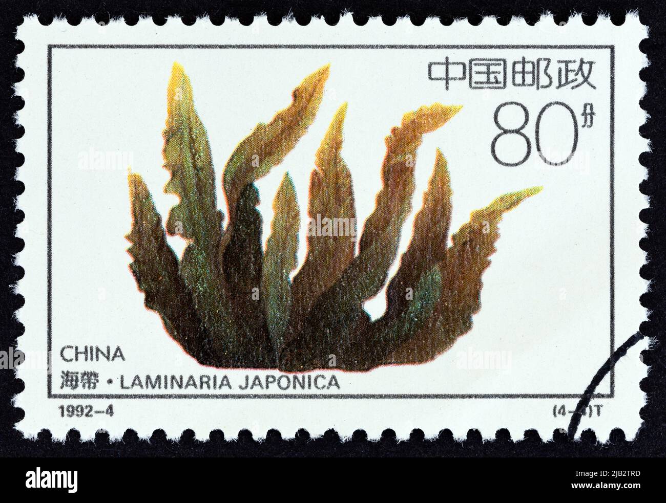 CHINE - VERS 1992 : un timbre imprimé en Chine à partir du numéro « Offshore Breeding Projects » montre Laminaria japonica, vers 1992. Banque D'Images