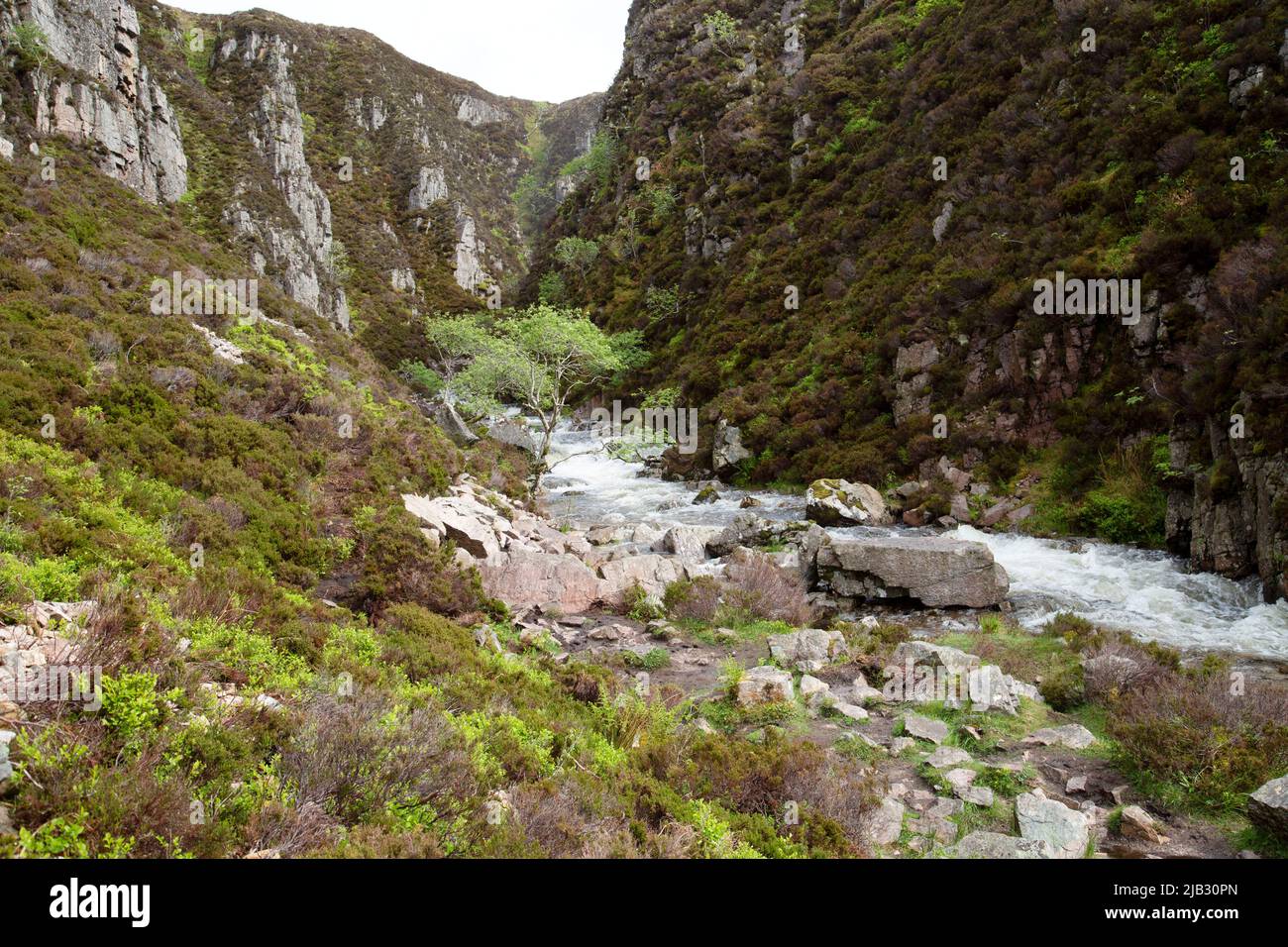 Allt Crananaidh Burn s'éloignant de la chute d'eau des Wailing Widow, Loch na Gainmhich, Assynt, Écosse Banque D'Images