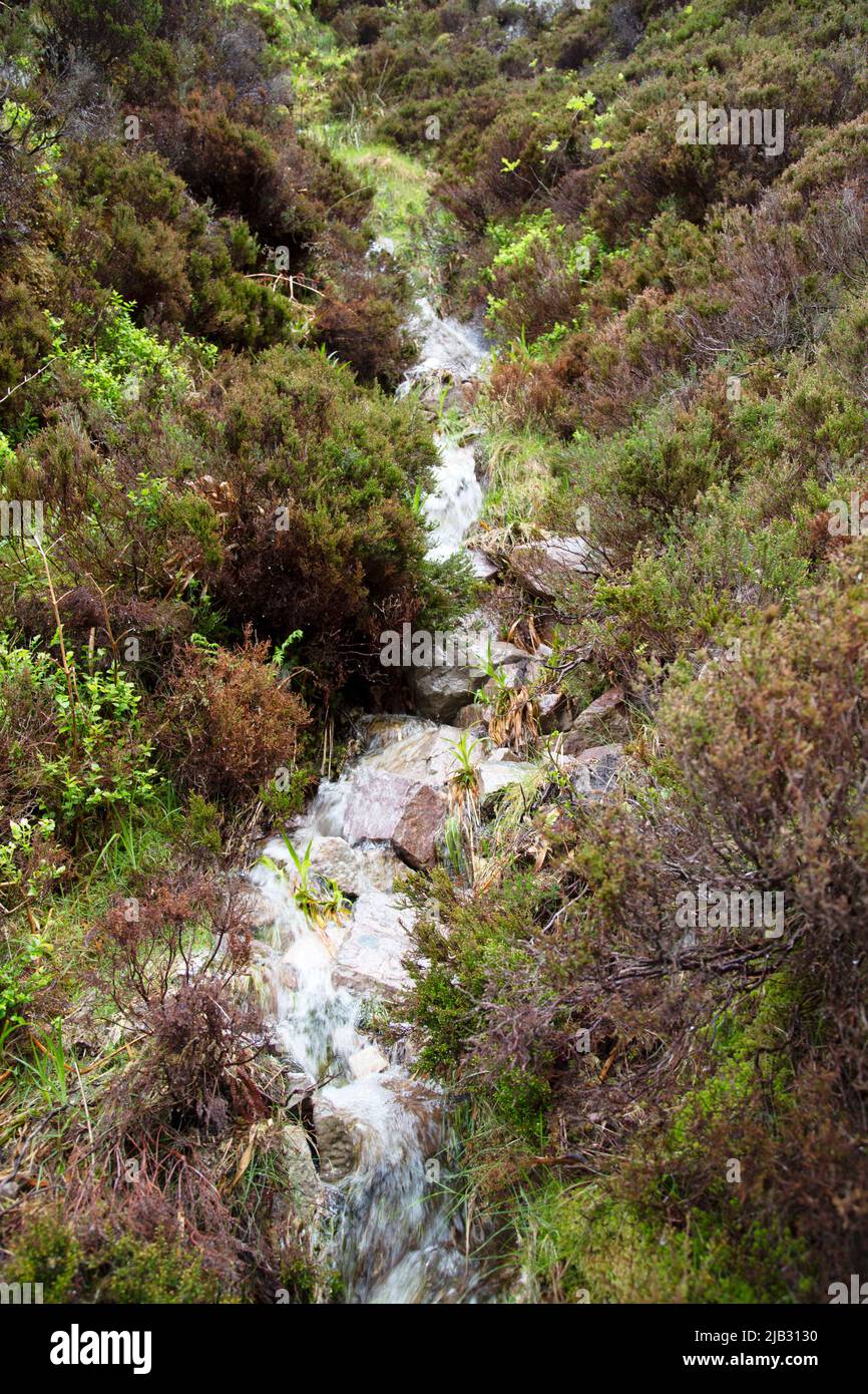 Petit Burn courant dans l'Allt Crananaidh juste en dessous de la Wailing Widow Fall, Assynt, Écosse Banque D'Images