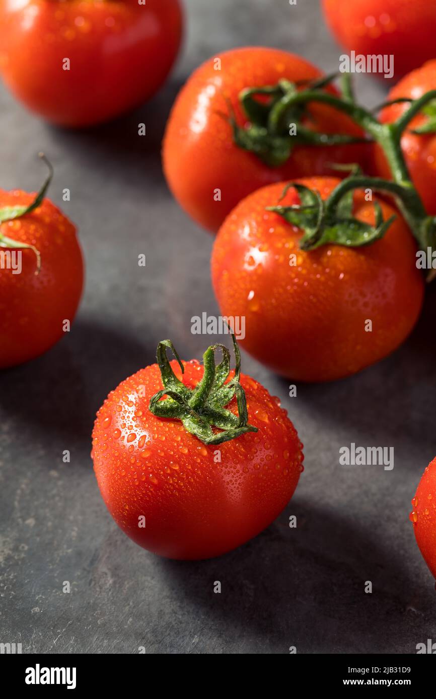 Tomates rouges crues mûres de vigne biologique prêtes à manger Banque D'Images