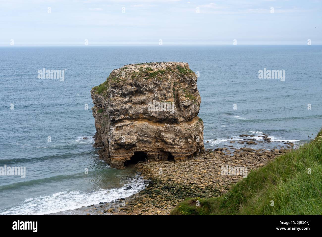 Marsden Rock - une pile d'oiseaux côtiers nicheurs, vue depuis le chemin public de Marsden, au sud de Tyneside, au Royaume-Uni. Banque D'Images