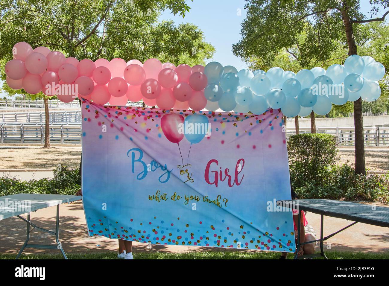 Décoration avec ballons et bannière pour célébrer une grossesse récente. Douche de baie. Révélation du sexe. Photographie horizontale. Banque D'Images