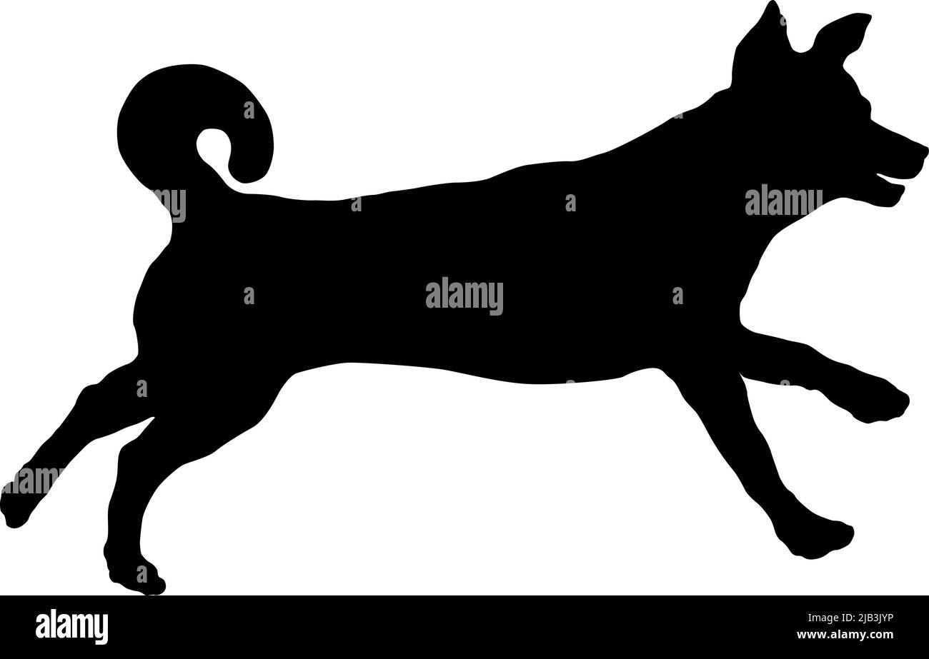 Chien de course multibred chiot. Silhouette de chien noire. Animaux de compagnie. Isolé sur un fond blanc. Illustration vectorielle. Illustration de Vecteur Chien de course multibred chiot. Silhouette de chien noire. Animaux de compagnie. Isolé sur un fond blanc. Illustration vectorielle. Illustration de Vecteur