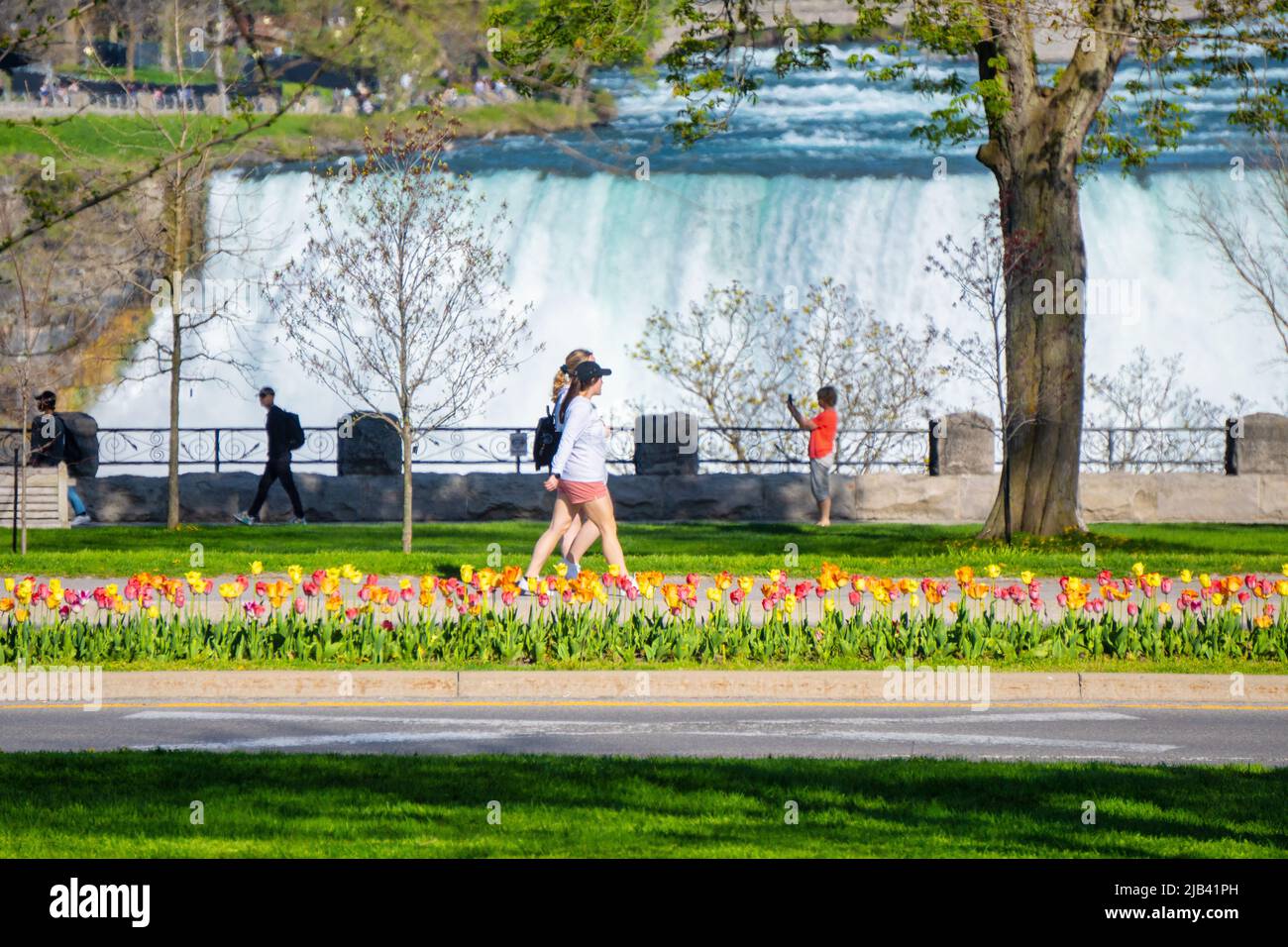Les jeunes marchent à côté des chutes américaines sur Niagara Parkway avec des fleurs de tulipe printanière Banque D'Images