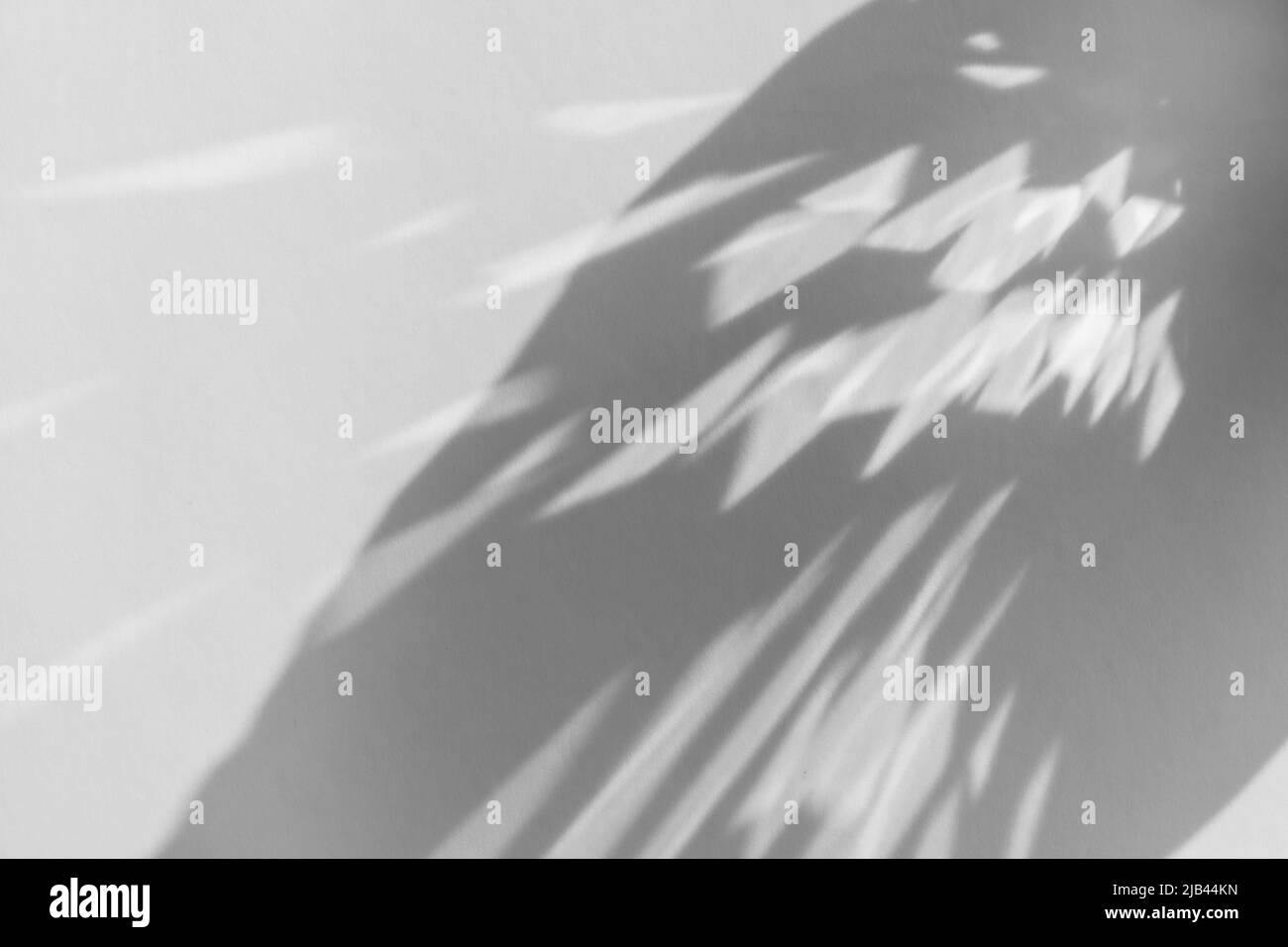 Réfraction de l'ombre et de la lumière sur effet photo de recouvrement de paroi blanche, rayons solaires se réfractant à travers le verre et le prisme, effets caustiques flous. Lumière naturelle Banque D'Images
