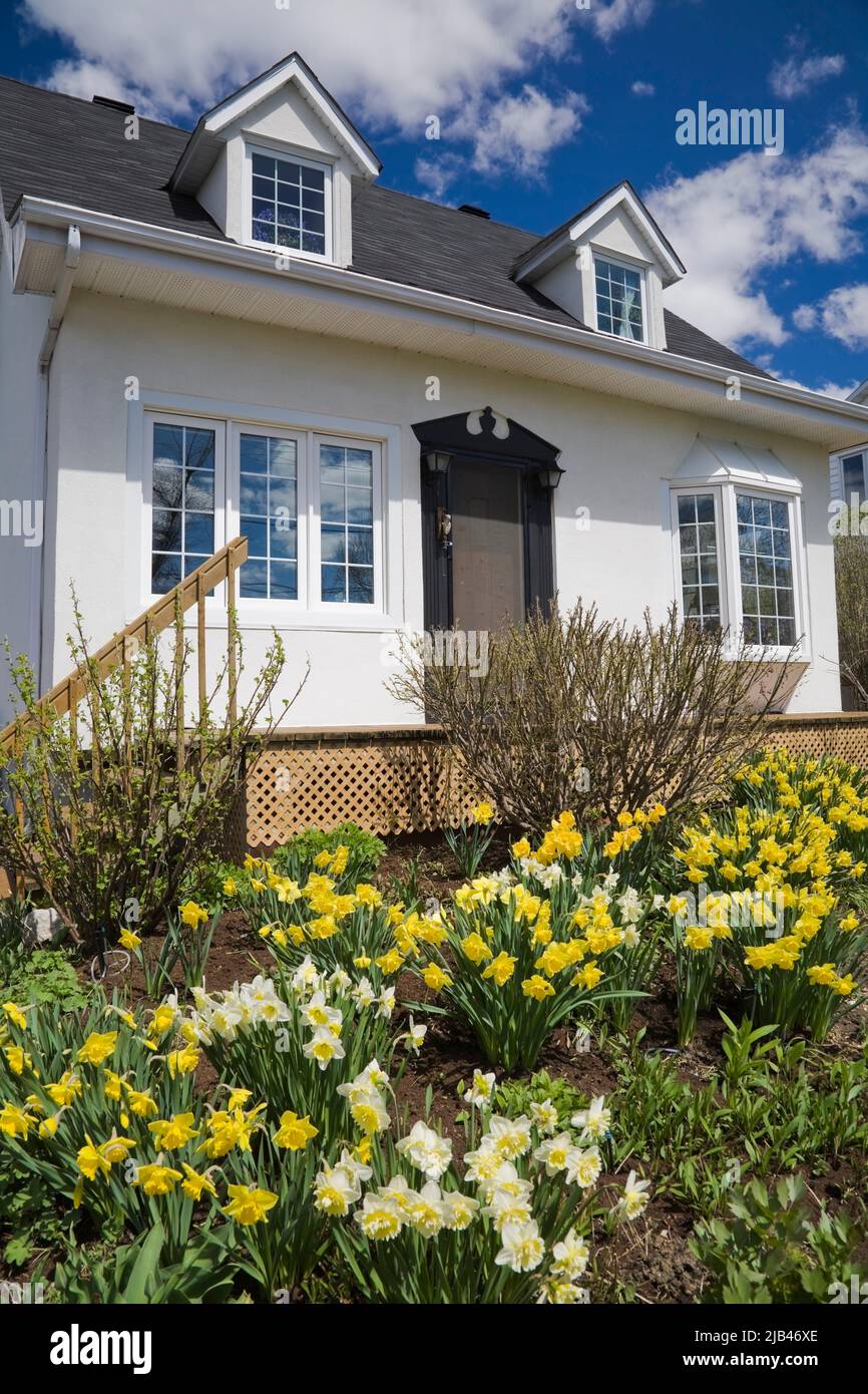 Ancienne maison de style manoir français Canadiana datant de 1950 avec revêtement en stuc blanc et bordure noire au printemps. Banque D'Images